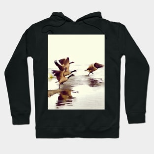 The Take Off - Wild Geese Hoodie